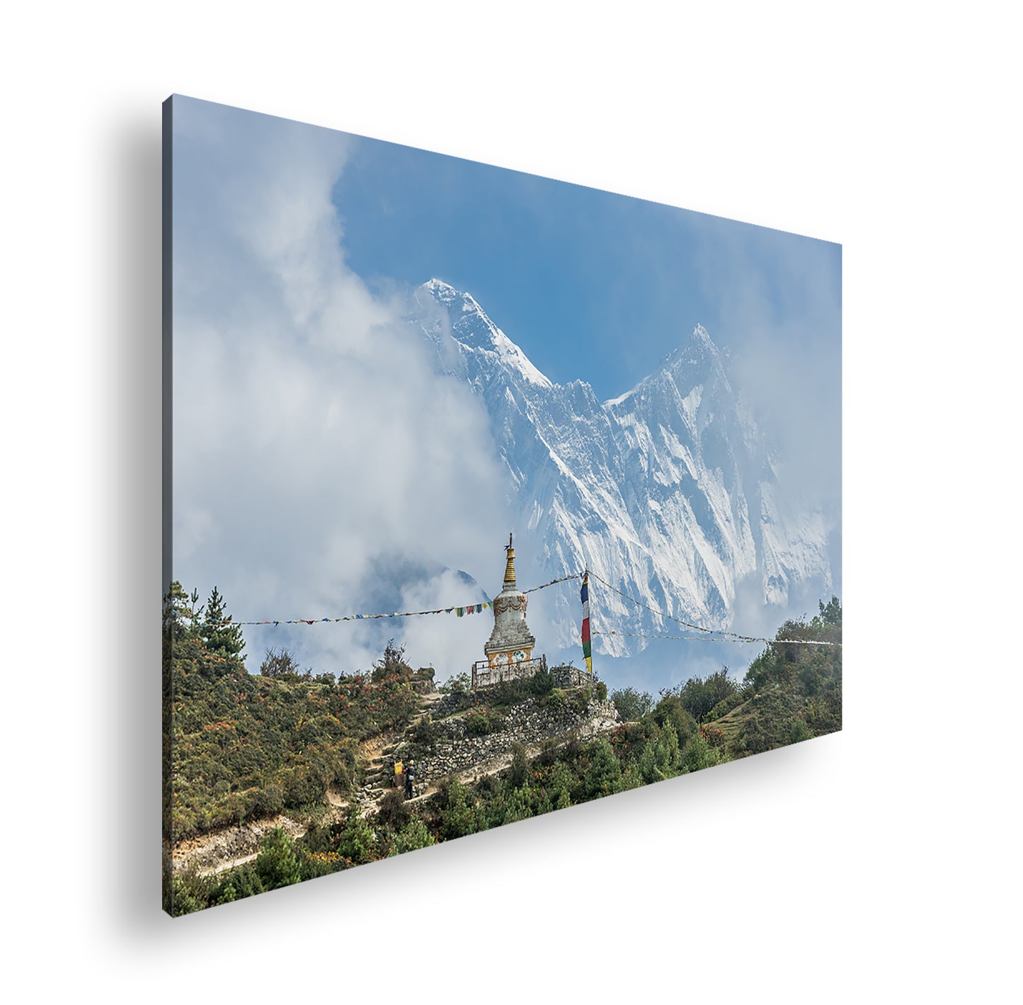 Hauptbild Farbig Standart