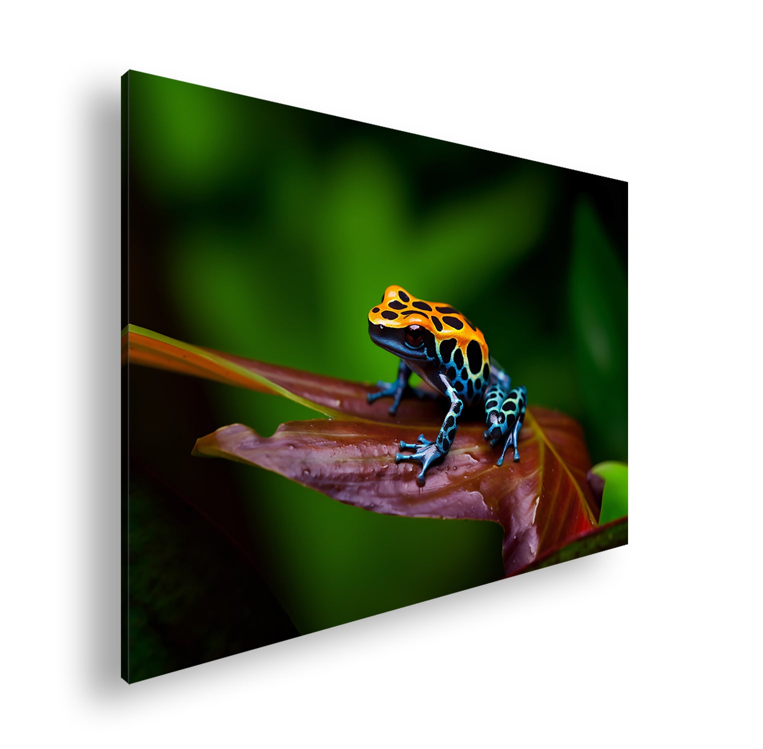 Hauptbild Farbig Standart