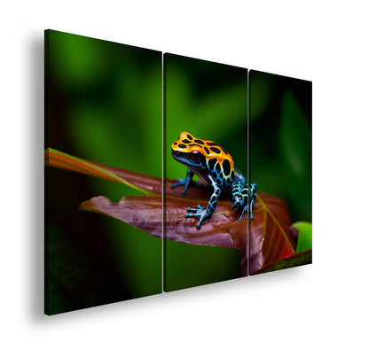 Hauptbild Farbig 3 Teilig