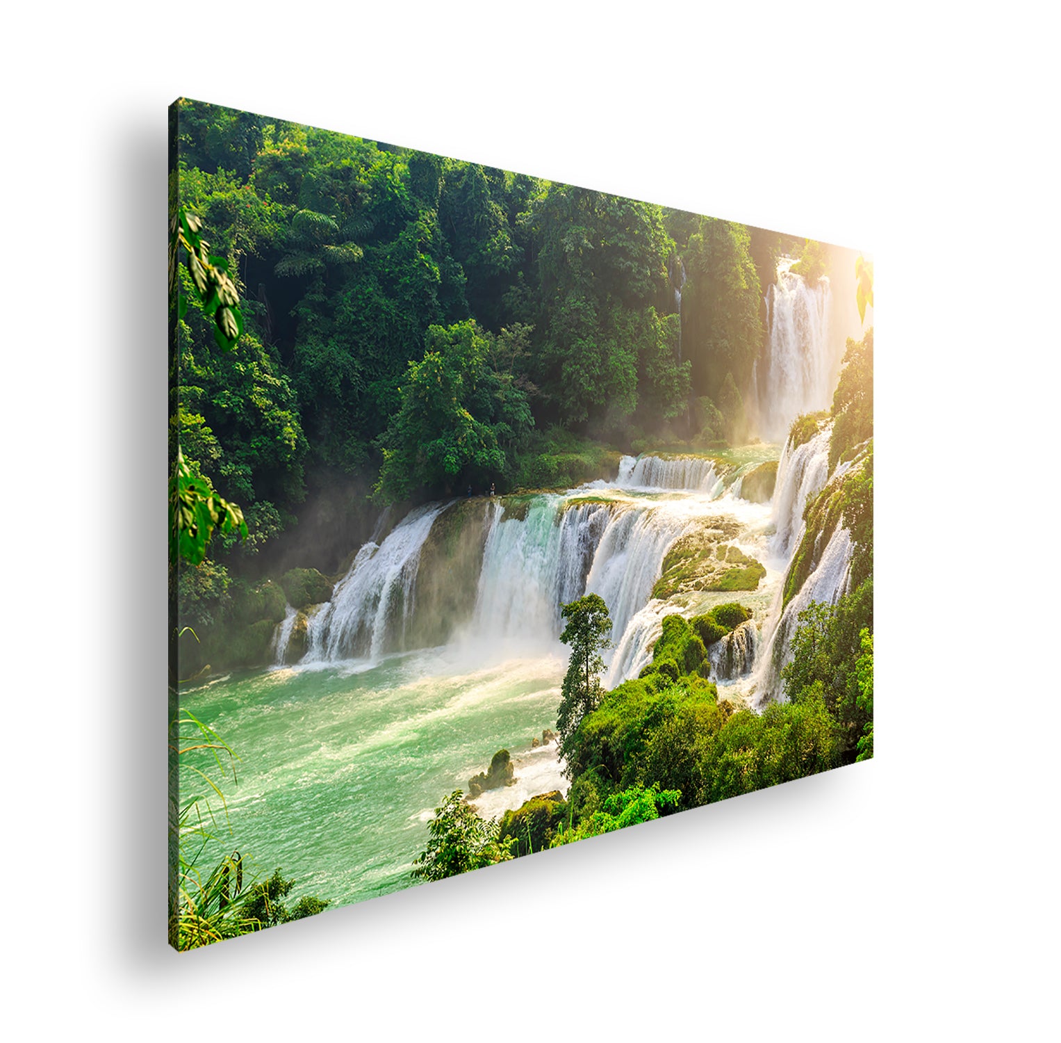 Hauptbild Farbig Standart