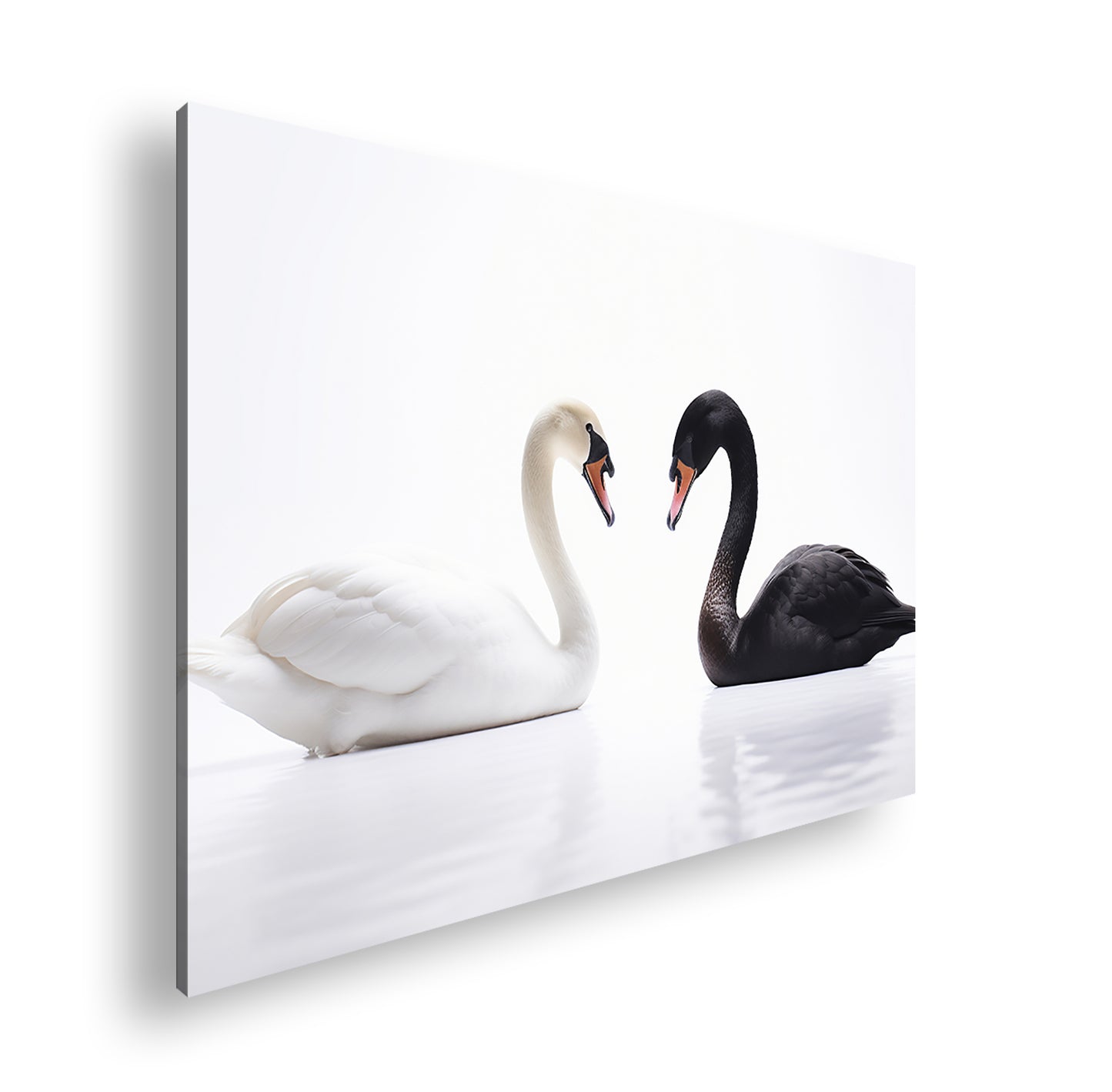 Hauptbild Farbig Standart