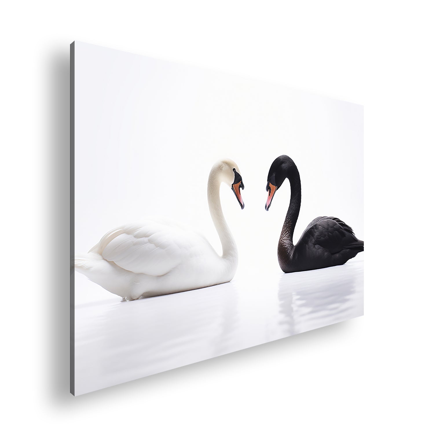 Hauptbild Farbig Standart