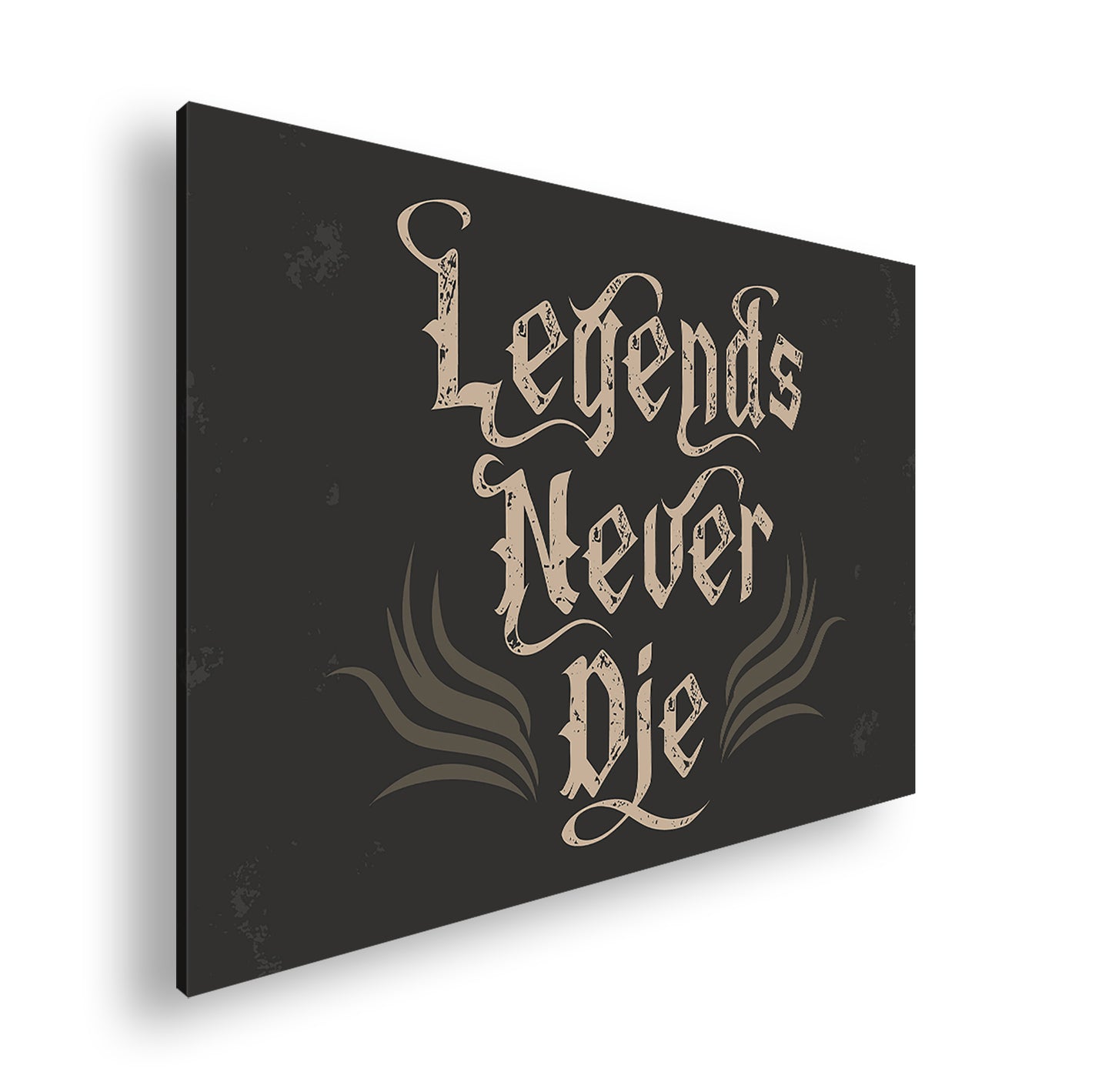 Hauptbild Farbig Standart