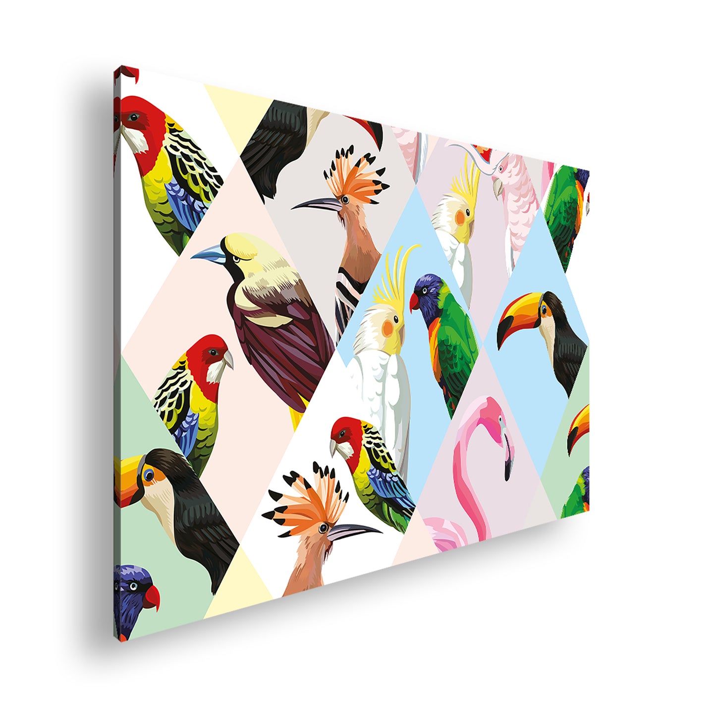 Hauptbild Farbig Standart