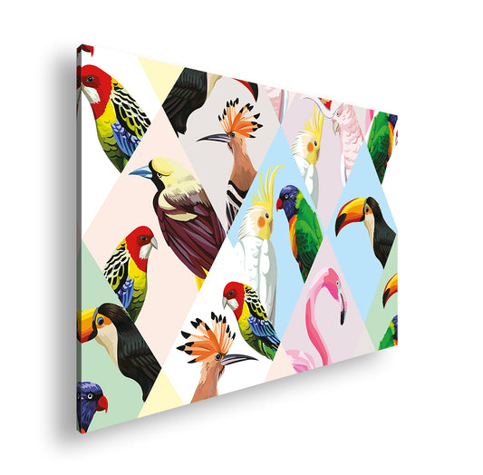 Hauptbild Farbig Standart