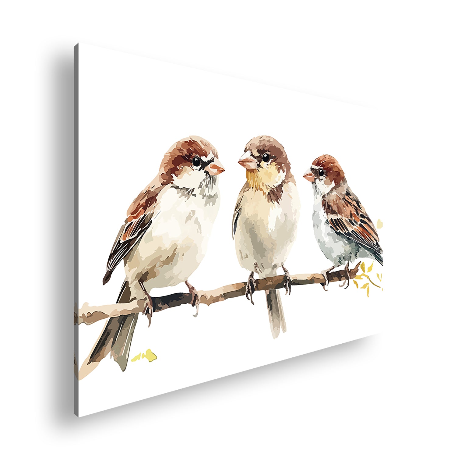 Hauptbild Farbig Standart