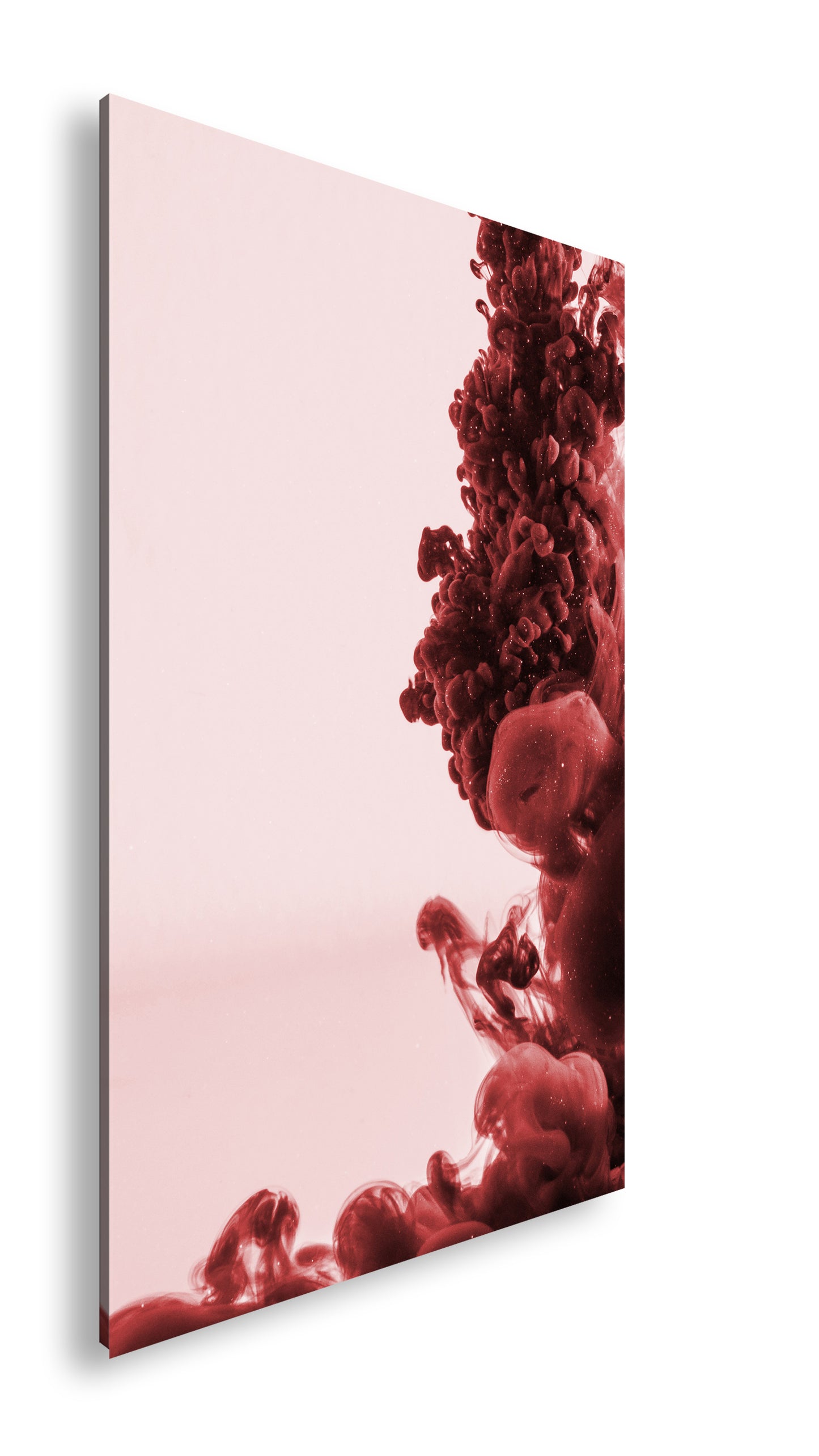 Hauptbild Farbig Standart