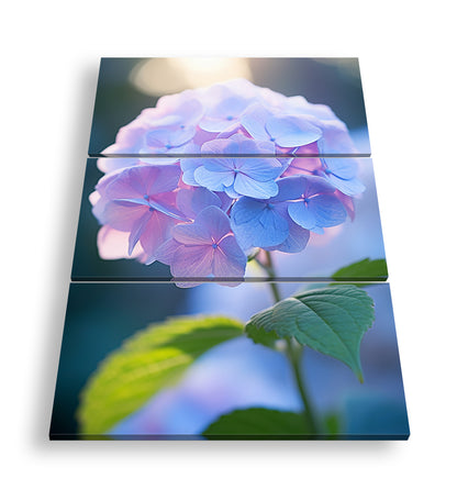 Hauptbild Farbig 3 Teilig