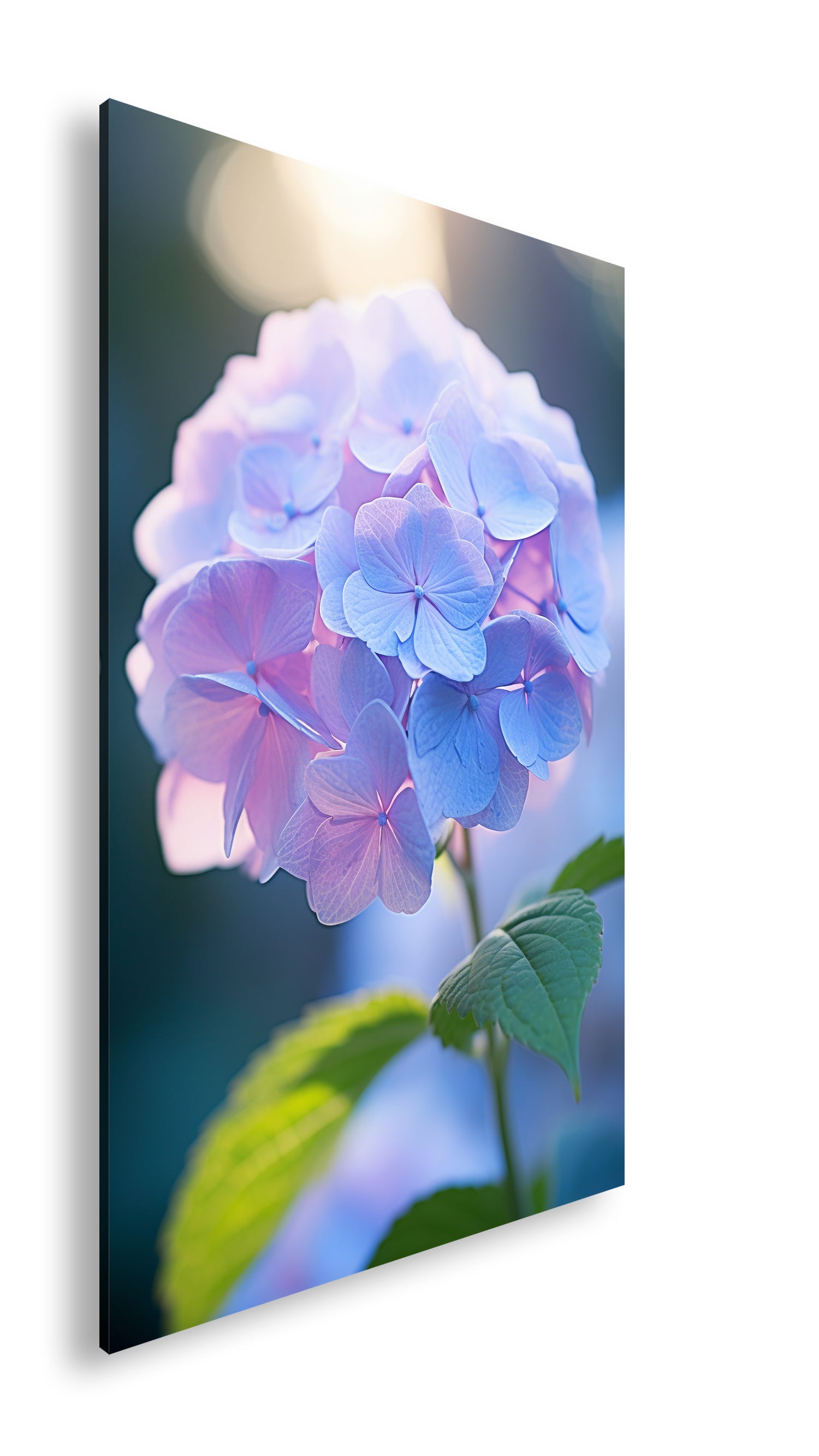 Hauptbild Farbig Standart