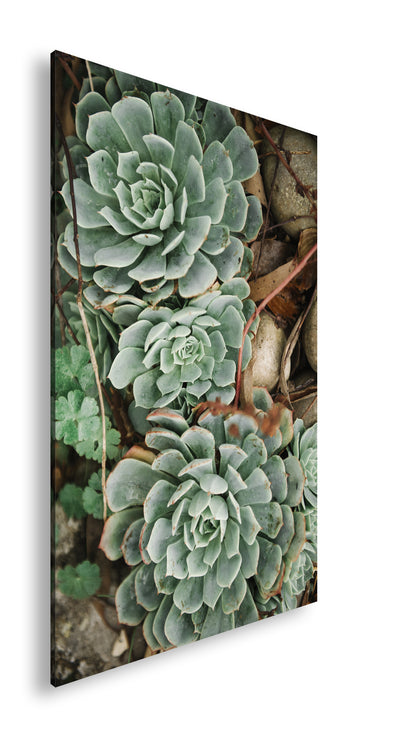 Hauptbild Farbig Standart