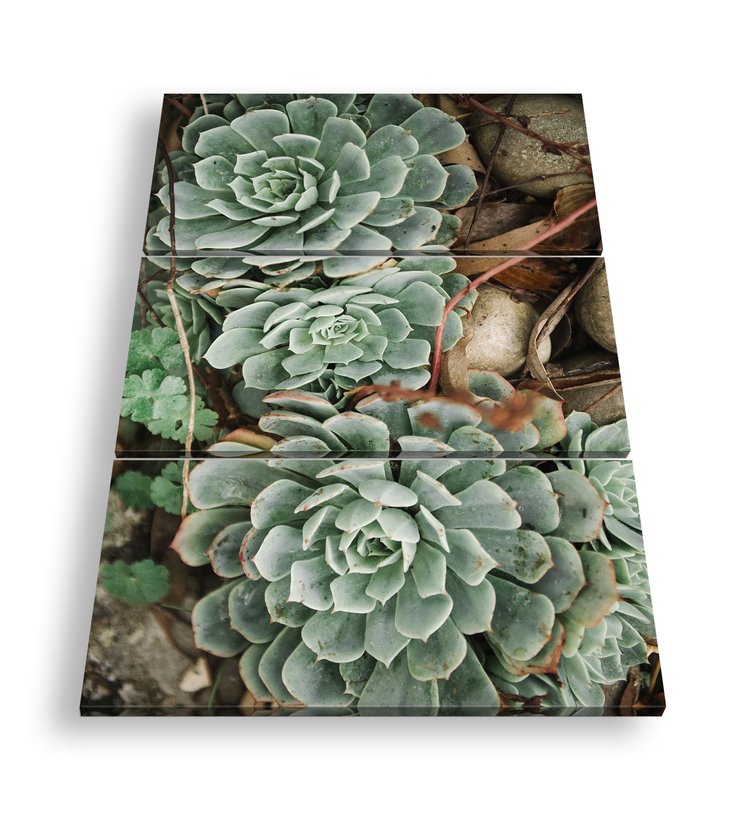 Hauptbild Farbig 3 Teilig