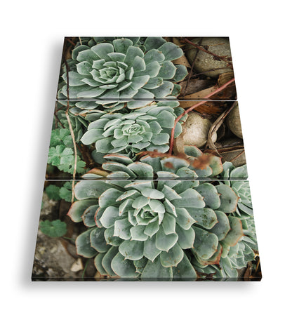 Hauptbild Farbig 3 Teilig