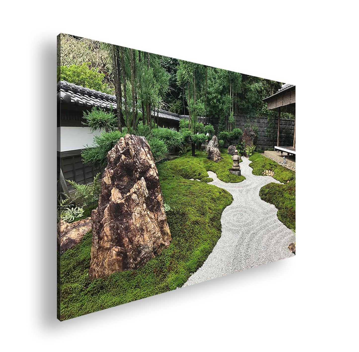 Hauptbild Farbig Standart