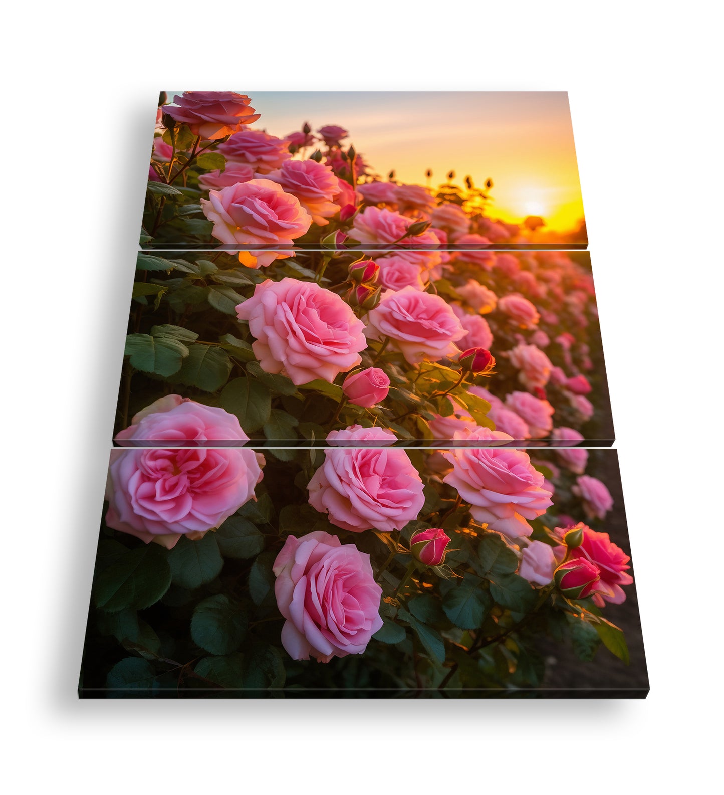 Hauptbild Farbig 3 Teilig