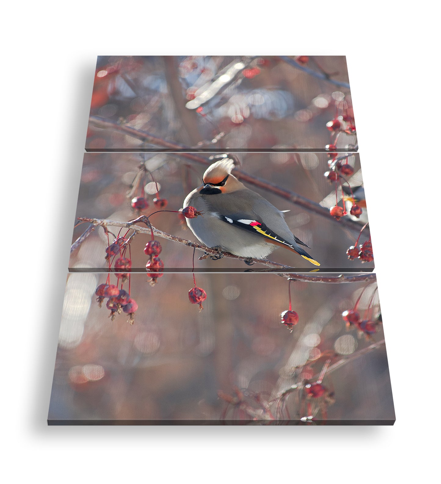 Hauptbild Farbig 3 Teilig