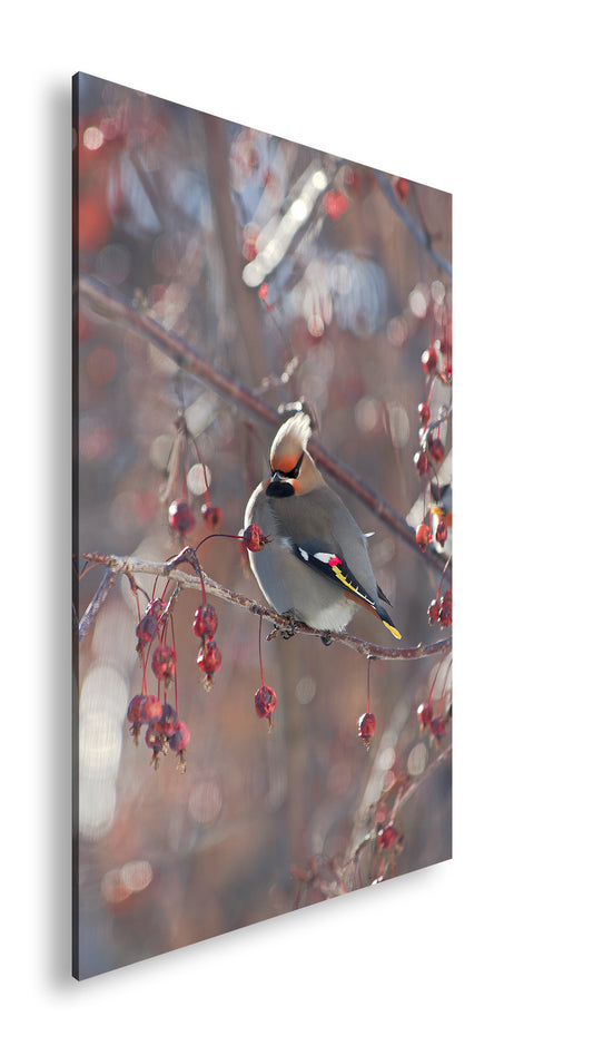 Hauptbild Farbig Standart