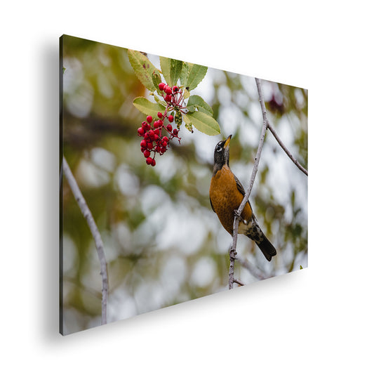 Hauptbild Farbig Standart