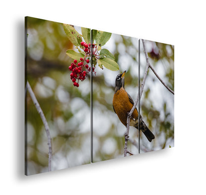 Hauptbild Farbig 3 Teilig