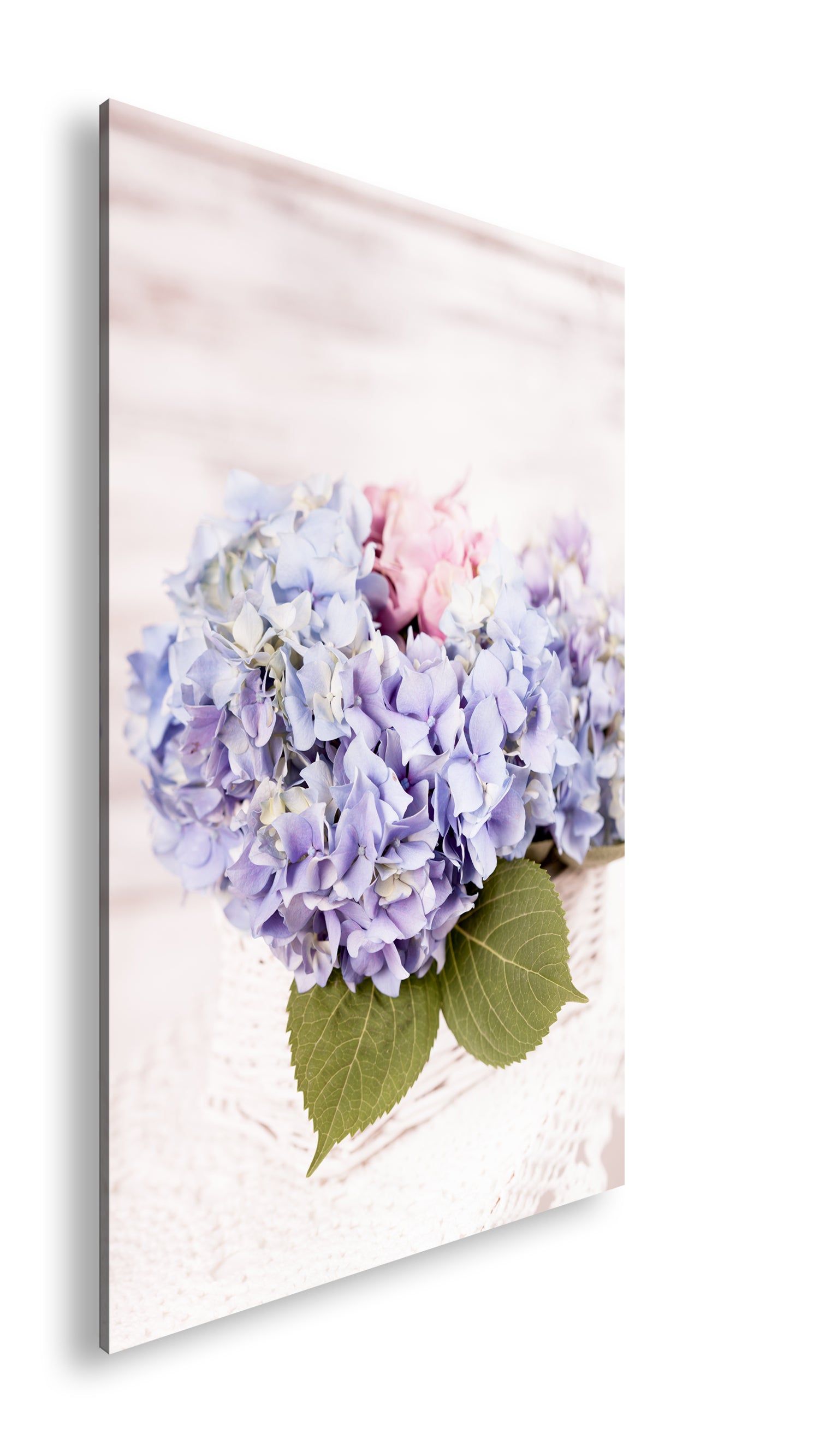 Hauptbild Farbig Standart