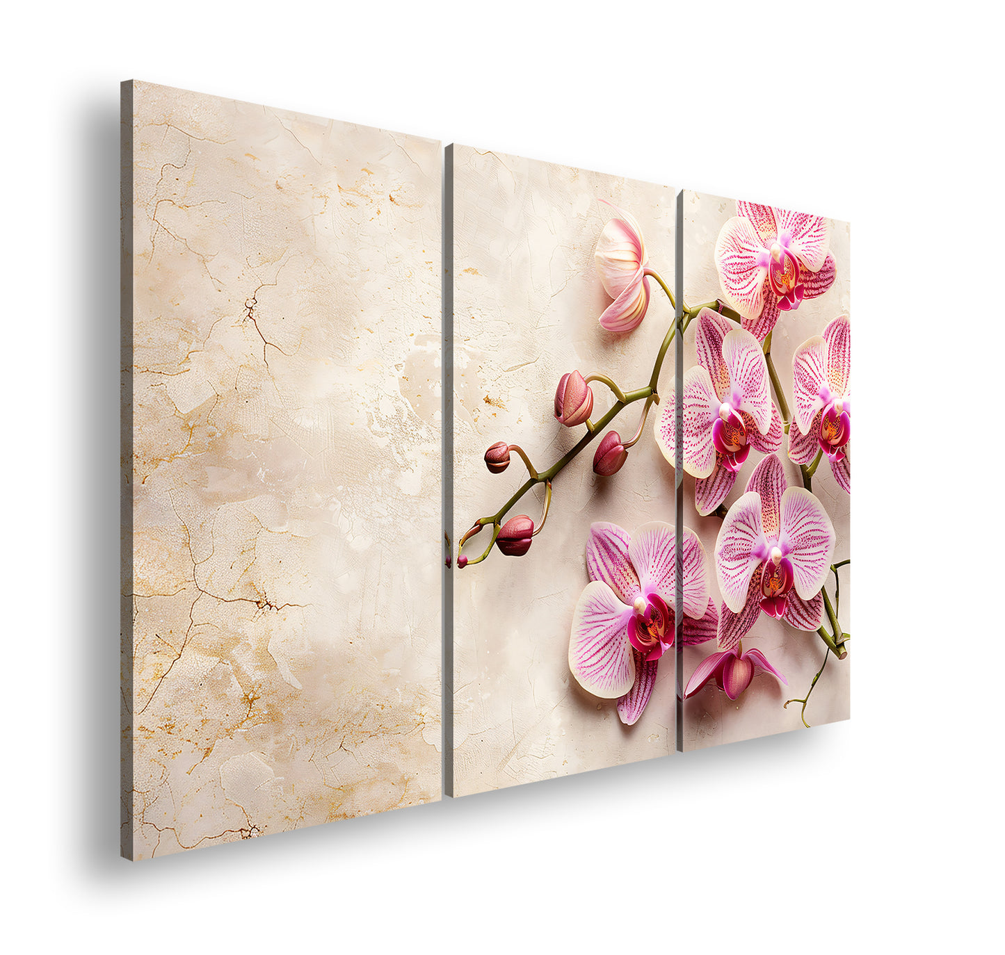 Hauptbild Farbig 3 Teilig