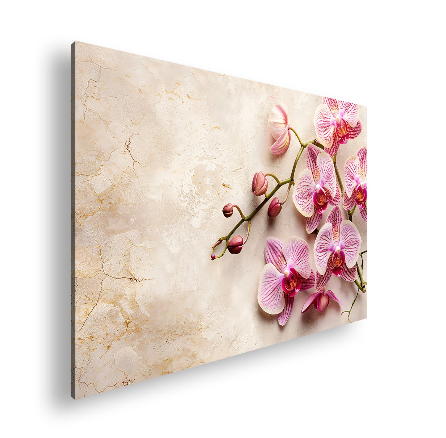 Hauptbild Farbig Standart