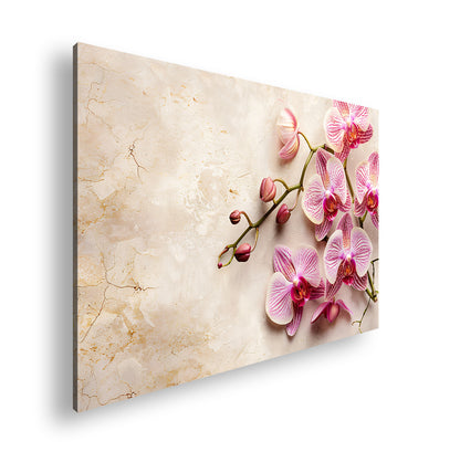 Hauptbild Farbig Standart