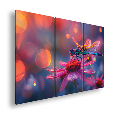 Hauptbild Farbig 3 Teilig