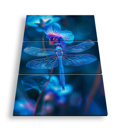 Hauptbild Farbig 3 Teilig