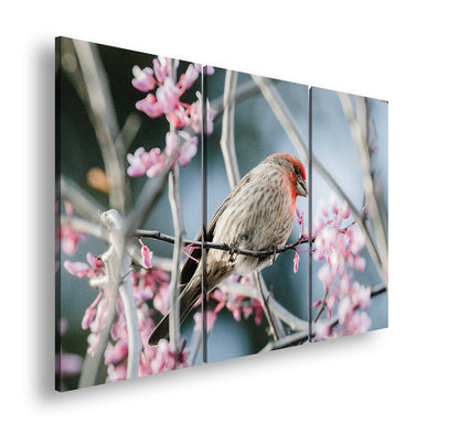 Hauptbild Farbig 3 Teilig