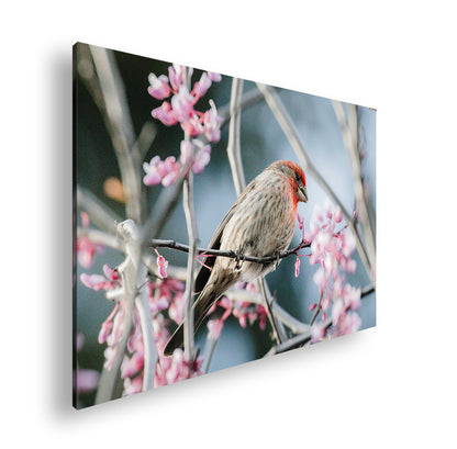 Hauptbild Farbig Standart