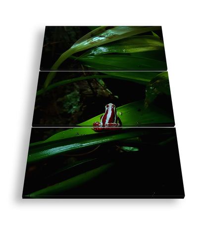 Hauptbild Farbig 3 Teilig