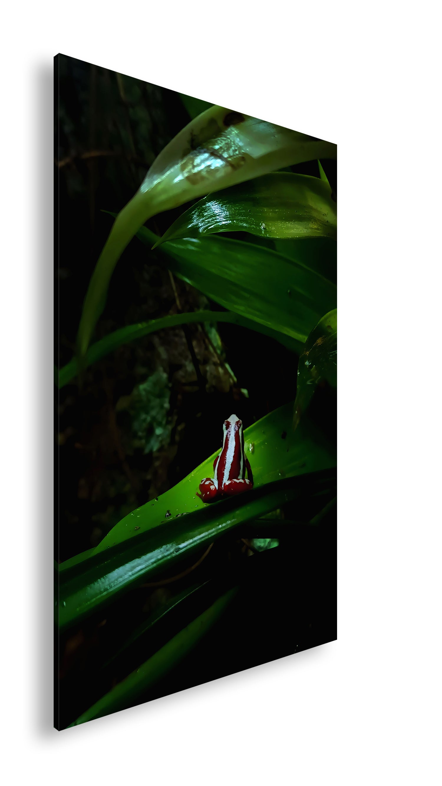 Hauptbild Farbig Standart