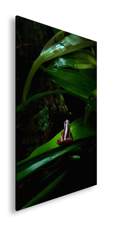 Hauptbild Farbig Standart