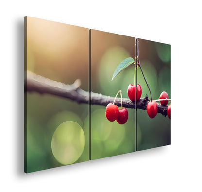 Hauptbild Farbig 3 Teilig