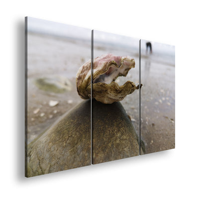 Hauptbild Farbig 3 Teilig