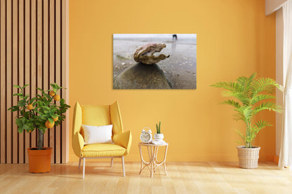 Vorschaubild Wohnzimmerbild 3