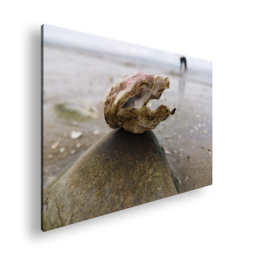 Hauptbild Farbig Standart