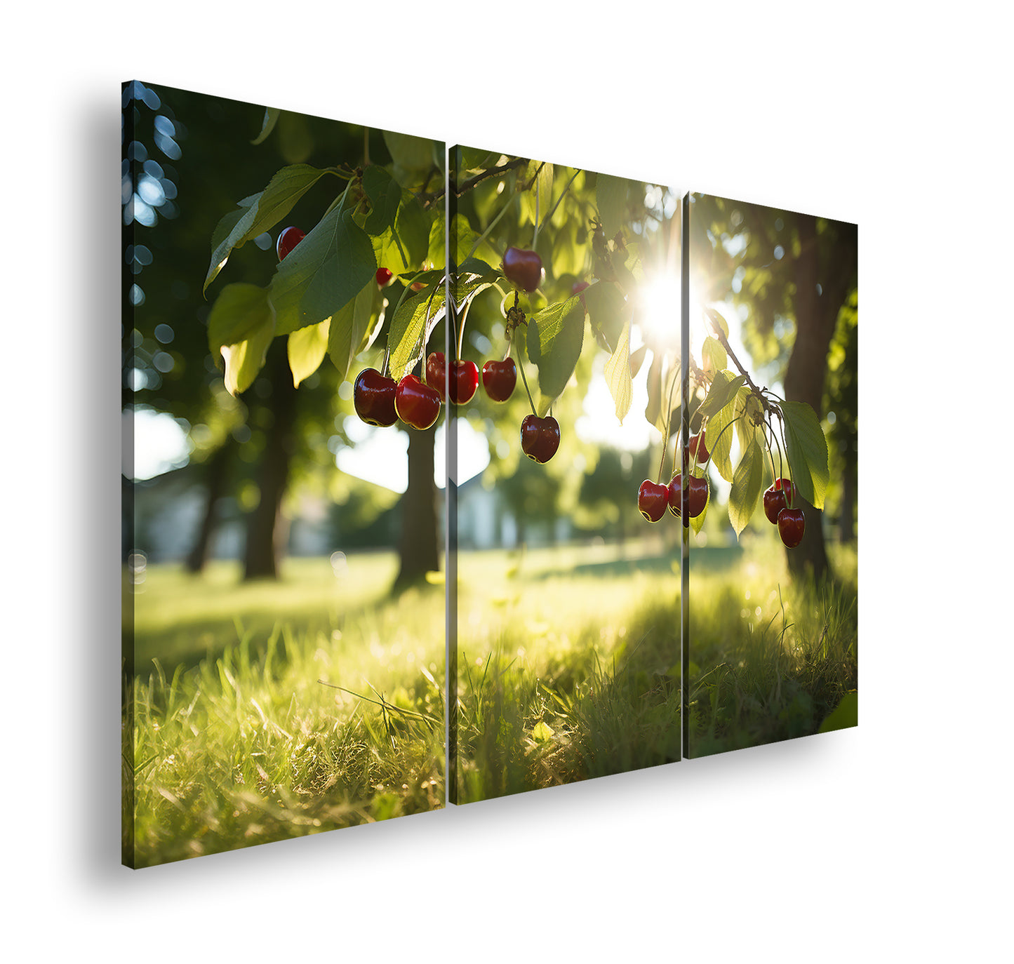 Hauptbild Farbig 3 Teilig