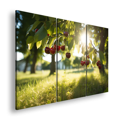 Hauptbild Farbig 3 Teilig