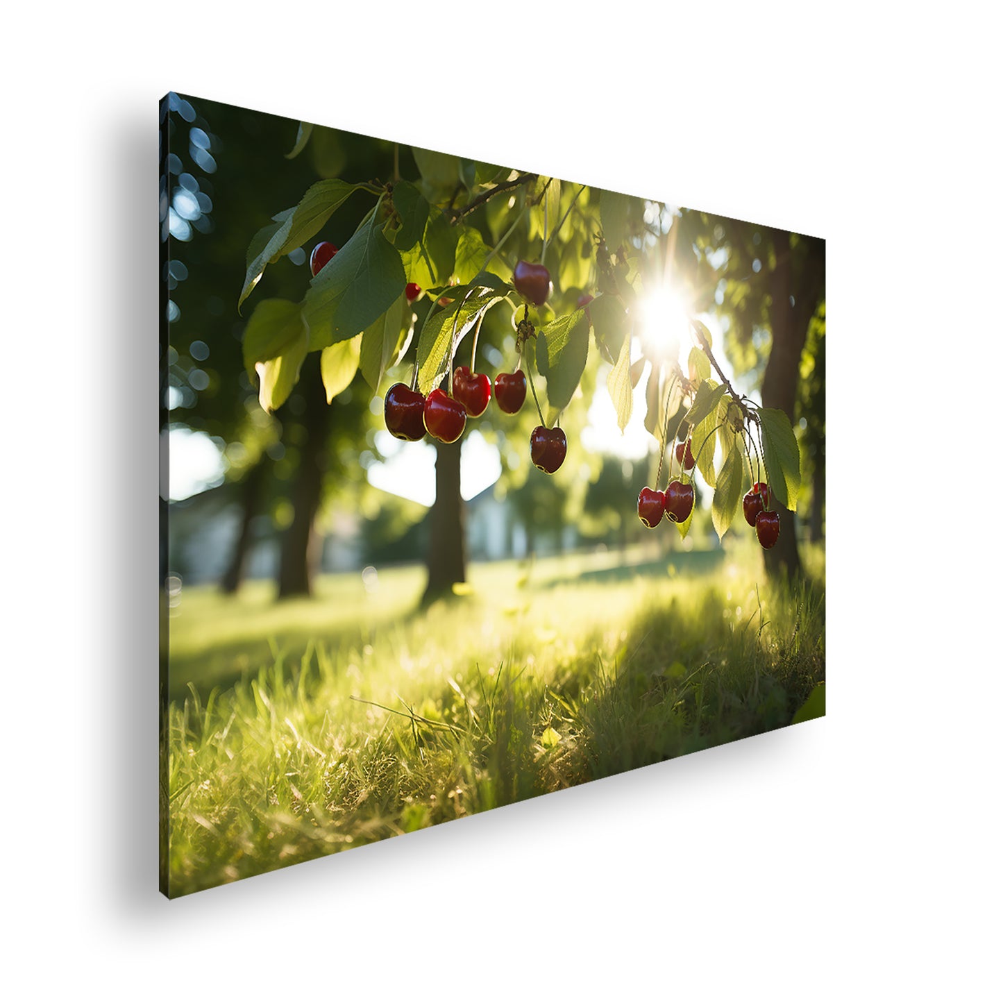 Hauptbild Farbig Standart