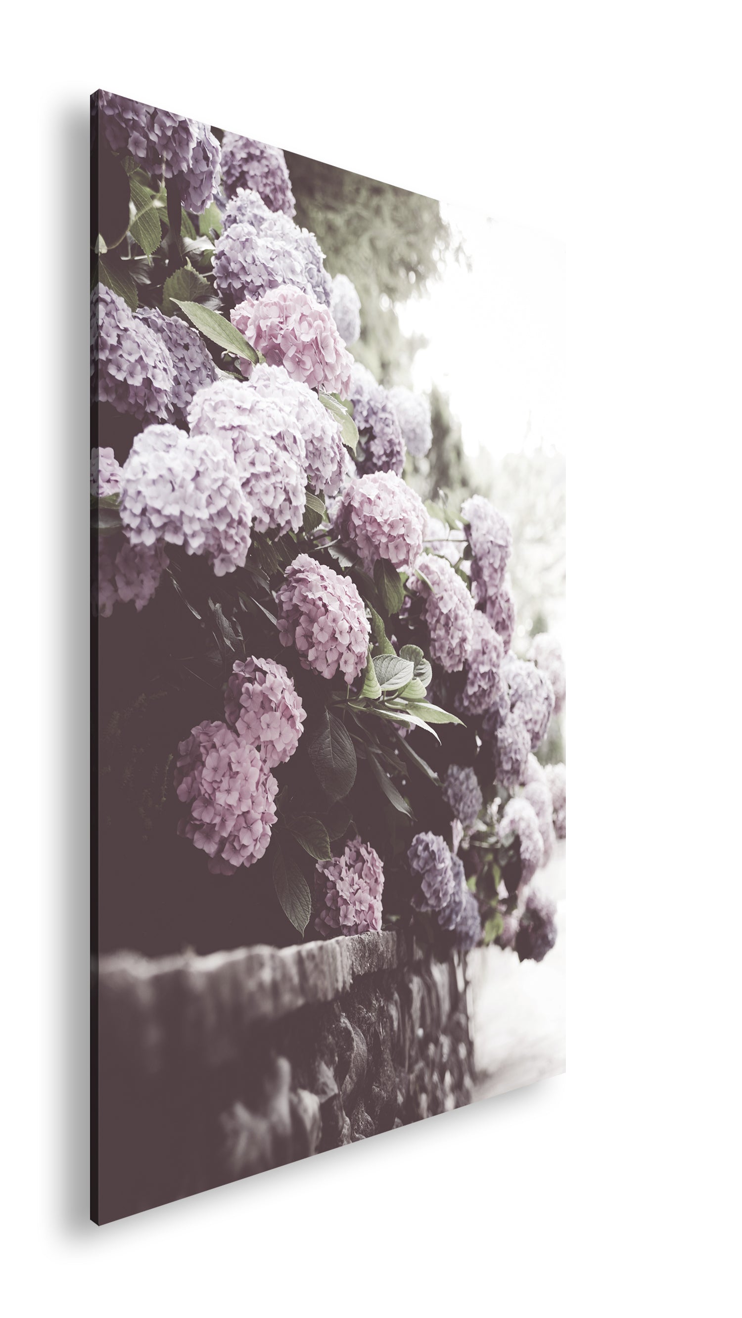 Hauptbild Farbig Standart