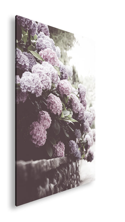 Hauptbild Farbig Standart