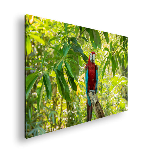 Hauptbild Farbig Standart