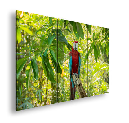 Hauptbild Farbig 3 Teilig