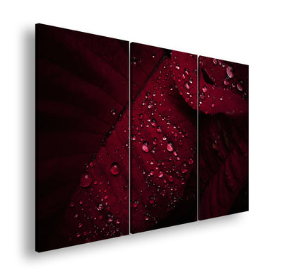 Hauptbild Farbig 3 Teilig