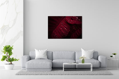 Vorschaubild Wohnzimmerbild 1