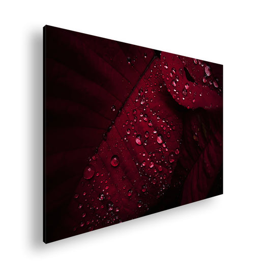 Hauptbild Farbig Standart