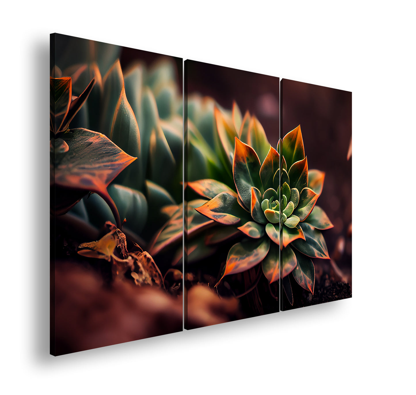 Hauptbild Farbig 3 Teilig