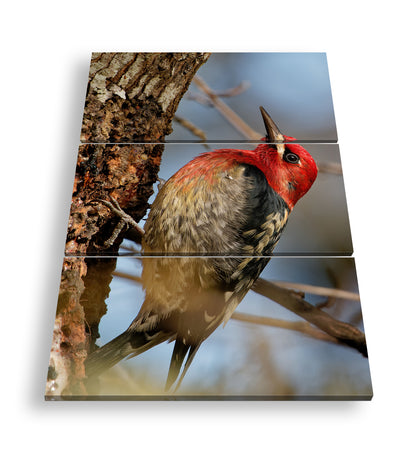 Hauptbild Farbig 3 Teilig