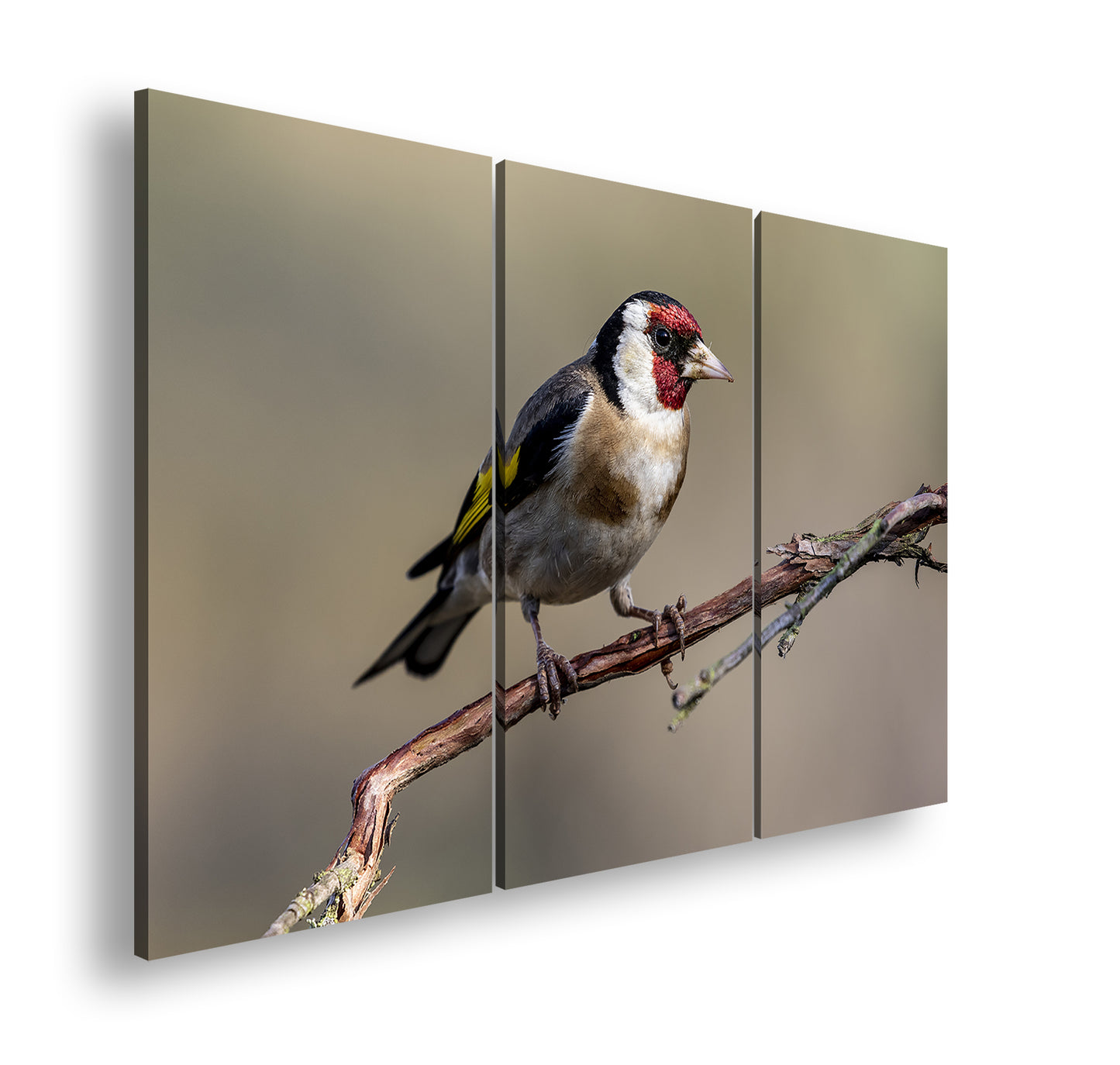 Hauptbild Farbig 3 Teilig